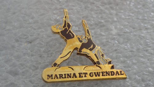 Pin patinage artistique - pin, s