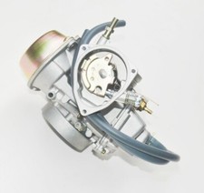 Carburateur pour Yamaha Rhino