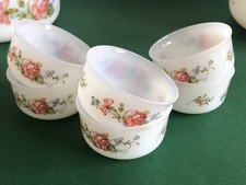 6 ramequins ARCOPAL modèle