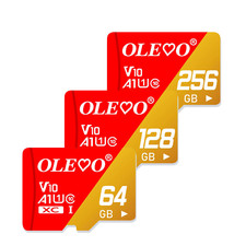 Carte mémoire Micro SD haute