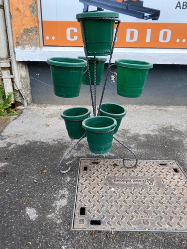 Ancien vintage porte - porte, plante