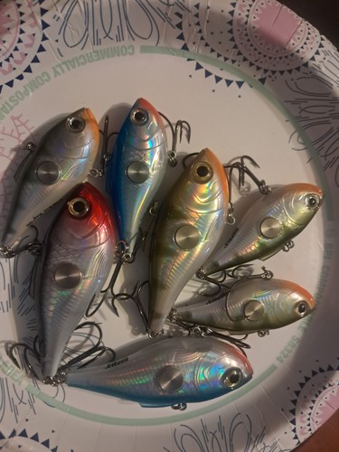 Rapala clackin rap cnr and - clackin',