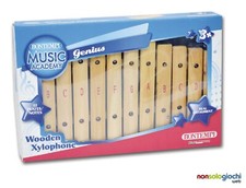 Xylophone 12 Notes En Bois