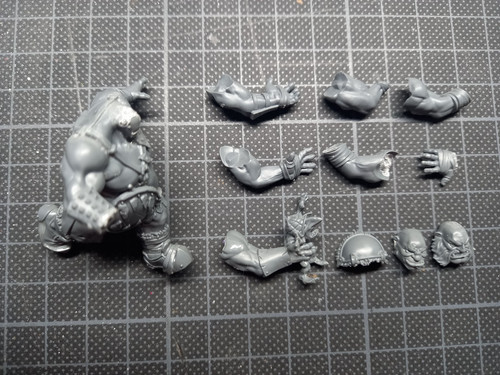 Blood bowl team ogre fire - blood,