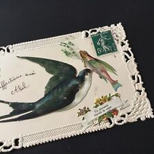 Old postcard chromo flying fish added plants ribbon 1908 old card post card