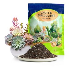 Cactus et Plantes Grasses Soil