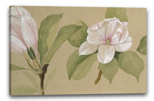 Toile cadres artiste inconnu - toile/cadres,
