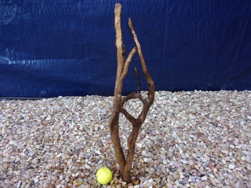 Medium driftwood x04 x05 - medium, 18"x04"x05"