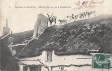 CP HUNTING A RUNNING BONNELLES HALLALI - 9338