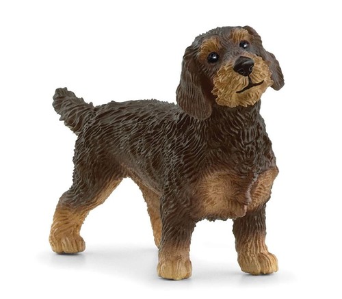 Schleich teckel poil - schleich,, à