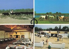 13 MANADE JALABERT MAS DE LA