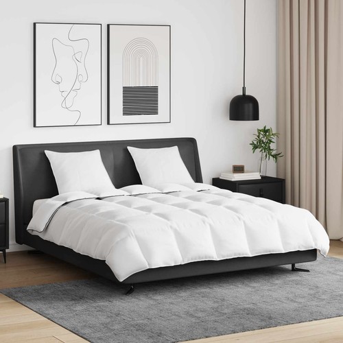 Duvet hiver avec oreiller - duvet,