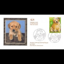 CEF - Jeunes animaux