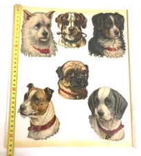 6 Anciens et Grands découpis chromos Thème Chiens XIXème Victorian scrap