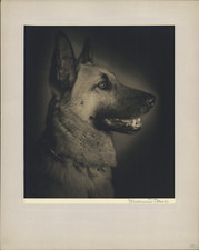 H.D. Portrait of a German
