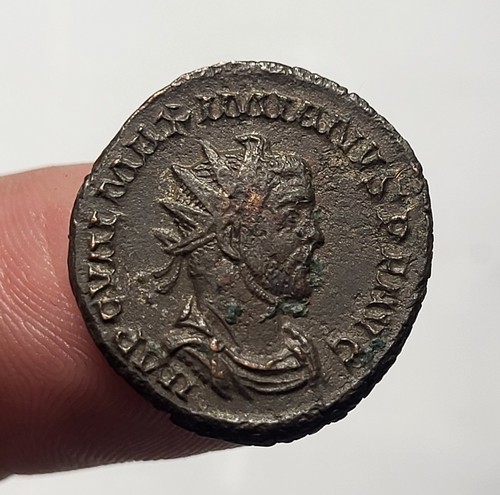 148 maximien hercule - ~,