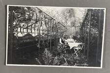 Antique PHOTO CARD man GREENHOUSE nature plant vegetation winter garden fern