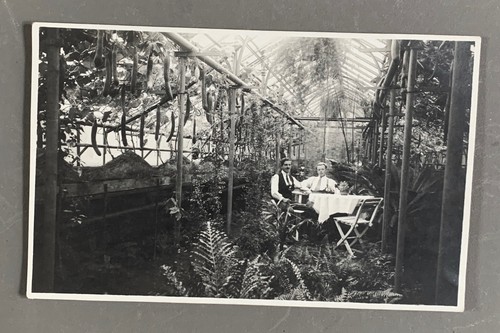 Antique photo card - antique,