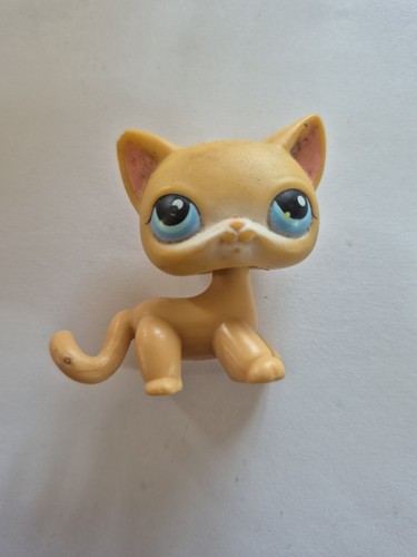 Petshop european cat - 71, figure