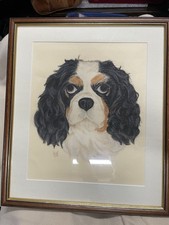 King Charles Spaniel dog Original Picture