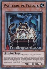 Yu-Gi-Oh! Panthère de
