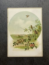 Chromo Chromolithograph Advertising Card Antique Star Library