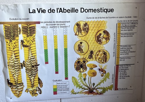 Ancienne affiche scolaire - , la