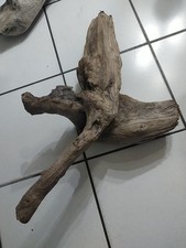 bois flotte 64×40.Dune Du