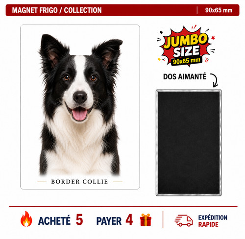 Magnet border collie - border,