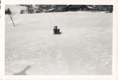 Ancienne photographie 1950 - ancienne,