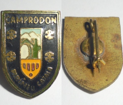 Vintage badge pin city - pin,