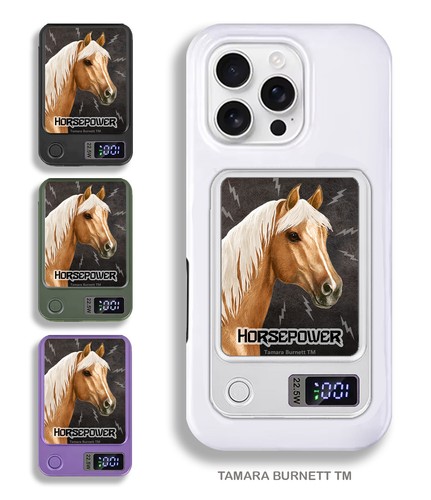 Quarter horse palomino - horse,
