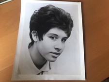 HELEN SHAPIRO - Photo presse