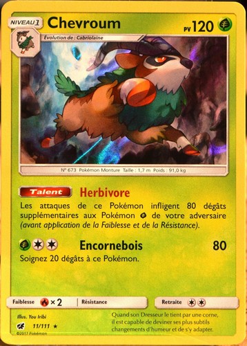 Carte pokémon 111 - pokémon, 11/111