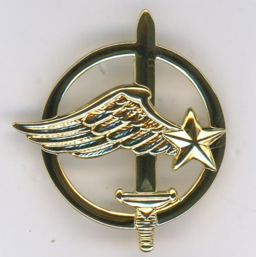 Insigne béret commandos de - commandos,
