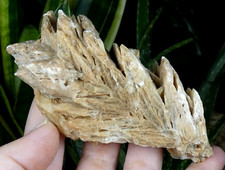 Belle cristallisation de Gypse