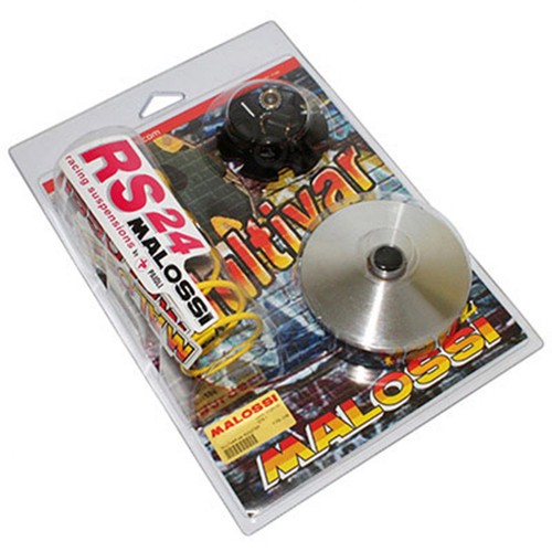 Variateur scoot malossi - variateur,