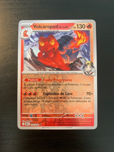 Carte pokémon reverse - pokémon,