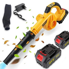 Aspirateur Souffleur sans Fil