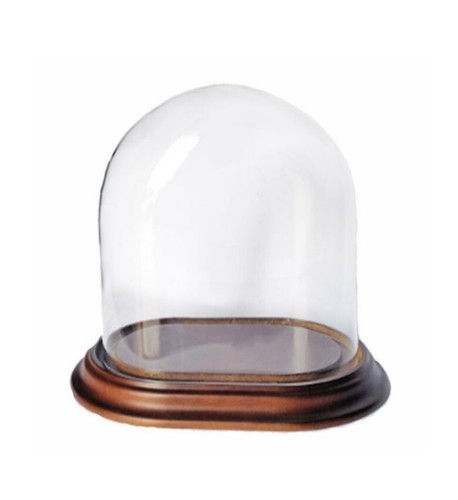 Cloche verre ovale cm - cloche,