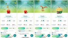 Applin, Appletun, Flapple, Dipplin, Hydrapple | Tr-de 20k stardust