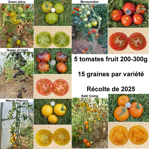 Graines 5 variétés de - -,