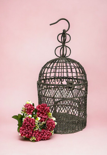 Clayre eef cage à - cage, oiseaux