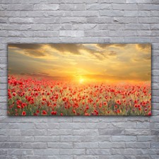 Image sur verre acrylique