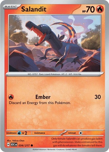 Cartes pokémon héros - fr,