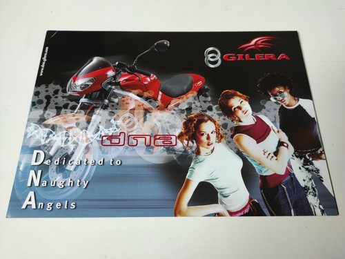 Prospectus catalogue brochure - prospectus,