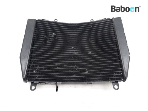 Radiateur agusta brutale - mv,