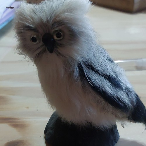 Statuette chouette grise - , –