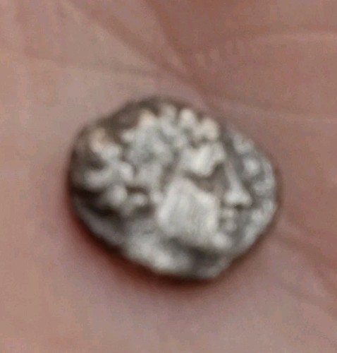 Rare hemiobole l - rare, l'éthnique