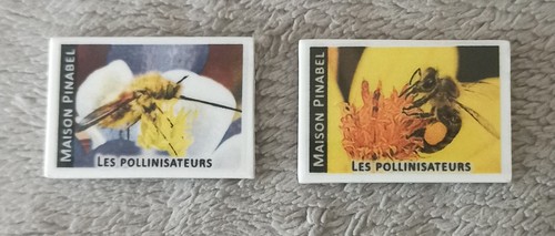 Fèves abeille - 2,